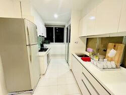 The Regency At Tiong Bahru (D3), Condominium #464158511